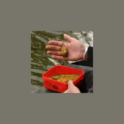 Thumbnail 11